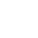 Cargo Trucks